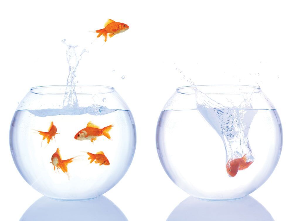 【指南】关于补运工具鱼缸的10条摆放禁忌，想要增加财运的人必知！