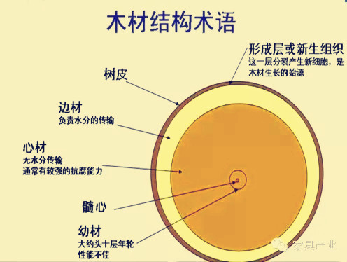 卖家具都知道的必备常识——边材与心材