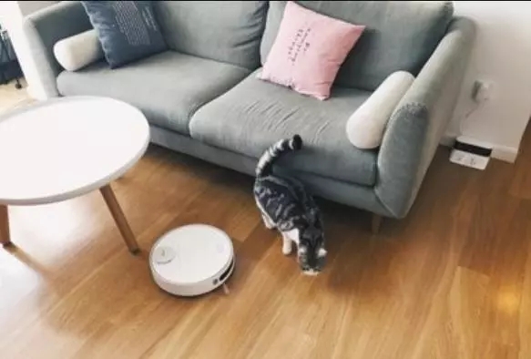 分享三个家居小窍门，用了家里看起来干净一倍